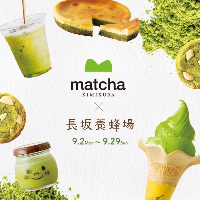 ＼抹茶×はちみつ商品5点が登場☆／

こんにちは♪抹茶好きの皆さまお待たせいたしました！！
9月2日(月)から「抹茶」と「はちみつ」を使ったとっても美味しい商品が登場いたします！
掛川の日本茶専門店「きみくら」さんとのスペシャルコラボです✨

①はちみつ抹茶ラテ/三ヶ日本店(店舗)限定
　一口飲んだら「はい、美味しい！」抹茶とはちみつ、そしてミルクのバランスが最高👍

②はちみつ抹茶ソフト/三ヶ日本店(店舗)限定
　はちみつの優しい甘さが濃厚な抹茶をさらに引き立てる絶品ソフト！

③はちみつと抹茶のチーズケーキ/三ヶ日本店(店舗)、電話・WEBサイトで購入可能
　昨年の大人気商品が今年も登場！濃厚チーズと抹茶がよく合います😊

④ぶんぶんのはちみつ抹茶プリン/三ヶ日本店(店舗)、電話・WEBサイトで購入可能
　抹茶プリンってこんなに美味しいの？！とビックリするほど、一度食べたら忘れられない美味しさ！

⑤はちみつチャンククッキー/三ヶ日本店(店舗)、電話・WEBサイトで購入可能
　きみくらさんの抹茶を使用して、ホワイトチョコがゴロッと入ったはちみつクッキー♪

きみくらさんとのスペシャルコラボ！今日は簡単なご案内となりましたが、詳しい詳細はまた後日投稿させていただいますね♪
コラボ企画は9月2日(月)から9月29日(日)までの期間限定です。
この機会にぜひお楽しみください！

それでは、今日もぬくもりある素敵な1日になりますように。
BEE HAPPY〜💫

- - - - - - - - - - - - - - - - - - - - -

🏡 長坂養蜂場 三ヶ日本店 @nagasaka_apiary
📍 静岡県浜松市浜名区三ヶ日町下尾奈97-1
🈺 午前9：30～午後5：00
📆 毎週水曜・第2火曜定休
🅿️ 無料80台分あり

- - - - - - - - - - - - - - - - - - - - -
.
.
#長坂養蜂場 #養蜂場 #静岡 #浜松 #はままつ #三ヶ日 #浜名湖 #奥浜名湖駅 #はちみつ専門店 #はちみつ #蜂蜜 #ハチミツ #ミツバチ #浜松旅行 #浜松グルメ #浜松スイーツ #浜松土産 #浜松みやげ #浜松お土産 #健康食 #はちみつのある暮らし #apiary #はちみつ抹茶ソフト #はちみつ抹茶ラテ #はちみつクッキー はちみつ抹茶チーズケーキ #はちみつ抹茶プリン